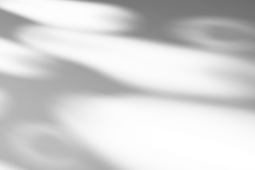 shadow overlay effects of realistic tree branch and foliage leaves shadow isolated on transparent background,Summer abstract shadow overlay ,shadow for photo interior backdrop studio floor mockup