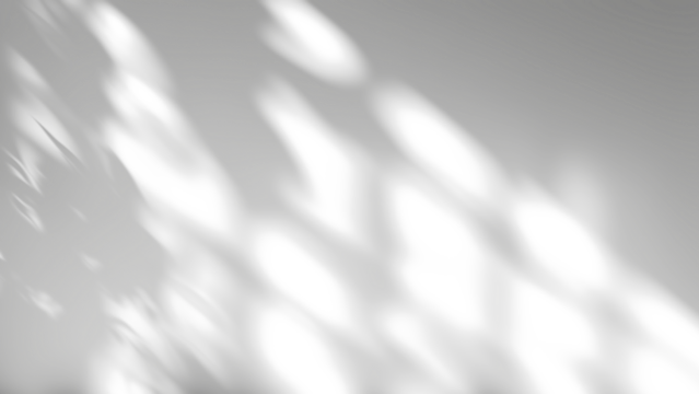 shadow overlay effects of realistic window and tree branch shadow with light blur on transparent background,Summer sunlight and shadow overlay effect,shadow for photo interior backdrop studio mockup