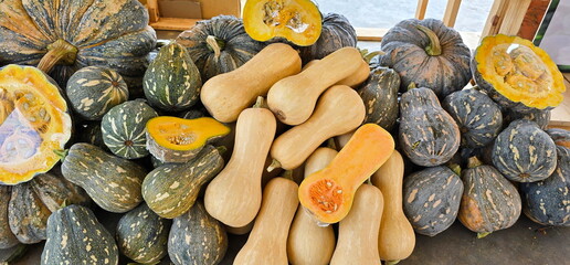 Several varieties of pumpkin are available at farm supply stores. The pumpkins are cut in half and...