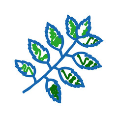 neem leaves ayurvedic herb icon doodle illustration