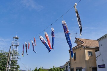 鯉のぼり