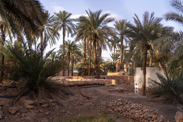 Ghardaïa, Algeria – View of the earthen palm grove and the minaret of the old town