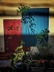 christmas tree on the wall