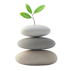 Fototapeta premium A Harmonious Stone Arrangement Symbolizing Growth, Balance and Renewal of Life