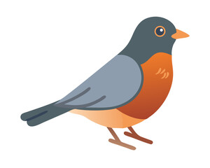 Obraz premium Colorful bird standing on ground with blue-grey feathers and orange chest captured in a bright environment
