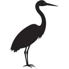 Obraz premium Elegant heron standing gracefully in a serene wetland during the golden hour of sunset