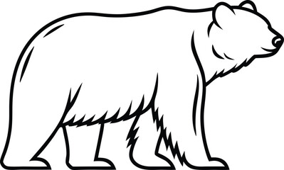 polar bear vector illustration