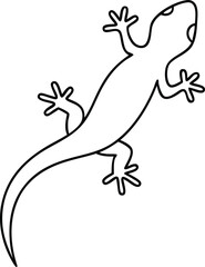 lizard on a white background