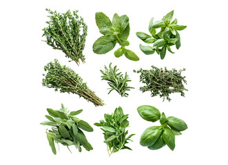 Obraz premium varios fresh herbs
