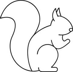 squirrel on a white background