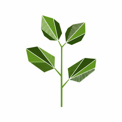 Green geometric plant on white background with striped leaf detail