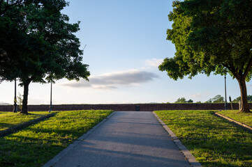 Obraz premium Evening walk along the historic city walls of Lucca, Tuscany, Italy. Lined with trees, the path glows in the warm light of the setting sun, offering a tranquil atmosphere.