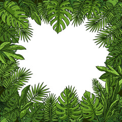 Colorful vector illustration of a border with different leaves
