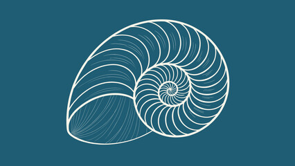 White spiral nautilus shell on dark blue background with copy space