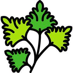 coriander icon