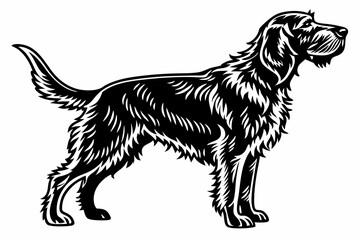 otterhound sihouette black vector