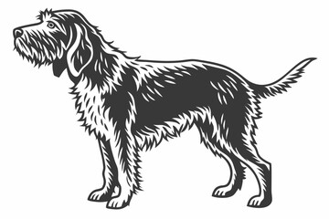 otterhound sihouette black vector