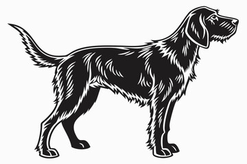 otterhound sihouette black vector
