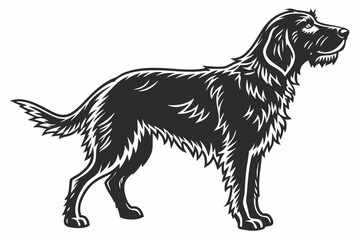 otterhound sihouette black vector