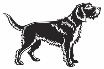 otterhound sihouette black vector