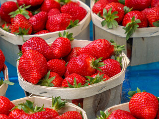 strawberries in provence market detail