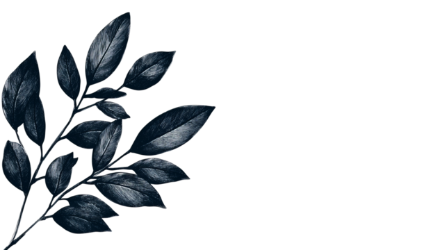 Detailed black and white leaf illustration with transparent background