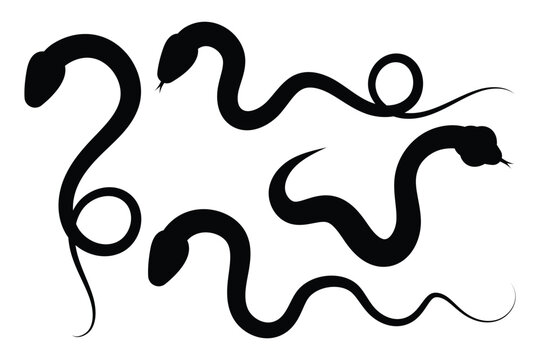 Snake silhouette icon. Collection of snake silhouettes in various forms. Snake icon vector illustration