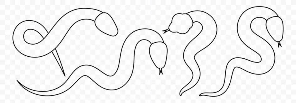 Snake silhouette outline. Snake icon on a white background. Snake sign. Vector illustrator