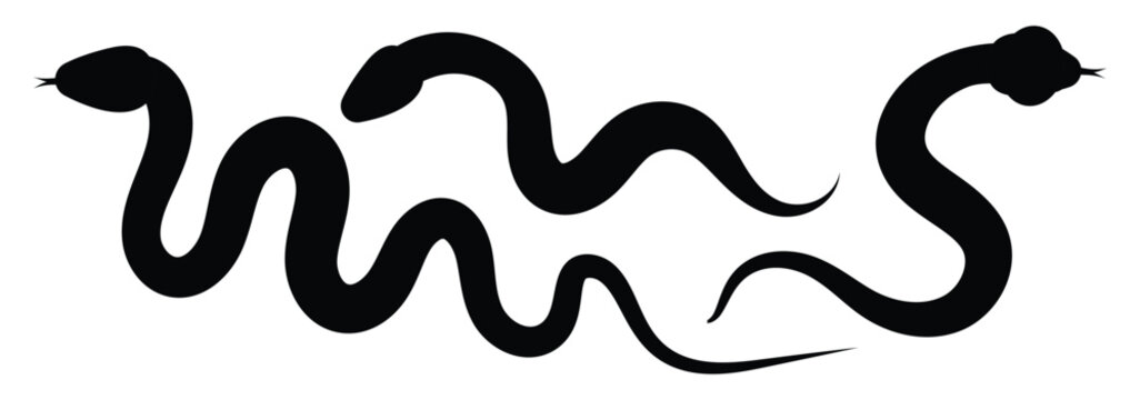 Snake silhouette. Snake silhouette set. Collection of snakes isolated on white background. Snake icon vector illustration