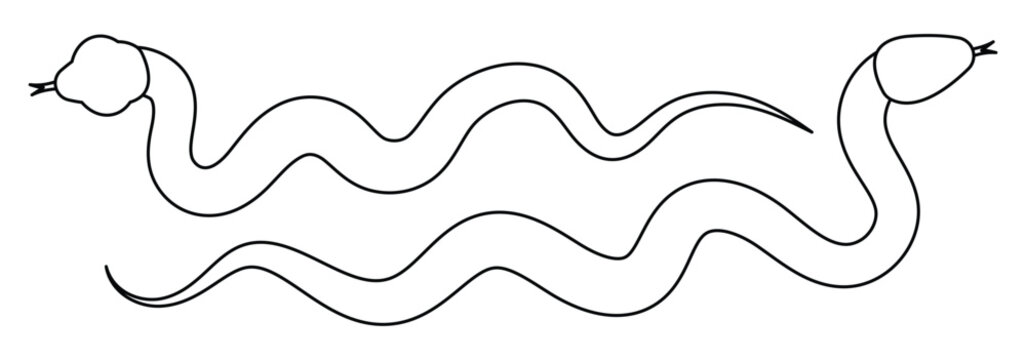 Snake silhouette outline. Snake icon on a white background. Snake sign. Vector illustrator