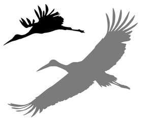 Crane silhouettes