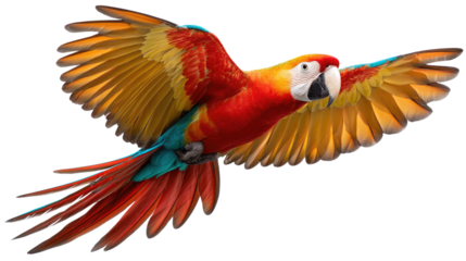 Parrot in Flight: Capturing the vibrant beauty and effortless grace of a scarlet macaw in mid-air, wings spread wide, showcasing its striking plumage. 