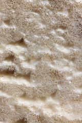 Macro view of intricate Dead Sea salt crystallization showing delicate lace-like patterns. Natural mineral formations with white and beige tones create a complex textured surface resembling coral.