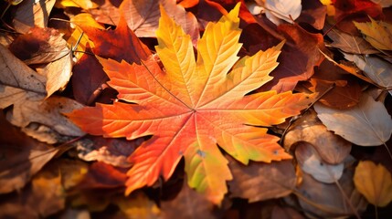 Fototapeta premium up leaf crest