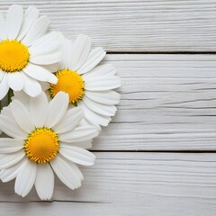Obraz premium Beautiful White Daisies on Rustic Wooden Background