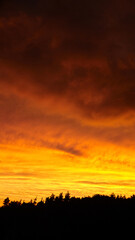 Fototapeta premium Vivid orange and red sunset sky above a dark tree line silhouette, featuring dramatic cloud patterns and rich gradient light across the horizon