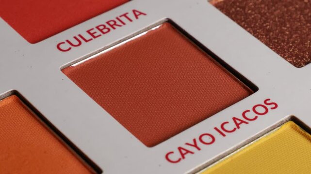 Shot of brush using eyeshadow from palette (cayo icacos).