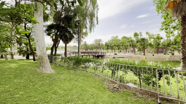 trees in the park