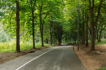 Russia, Kislovodsk - June 19, 2024: Kislovodsk National Park