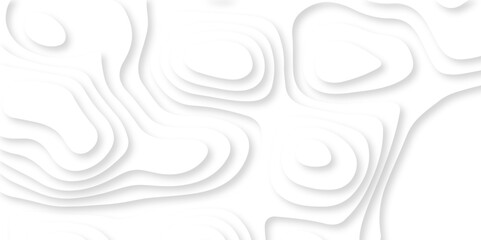 Abstract Luxury diamond creative topography map background vector natural shadow papercut web topography map spiral line. white light dynamic smooth 3d papercut texture background.
