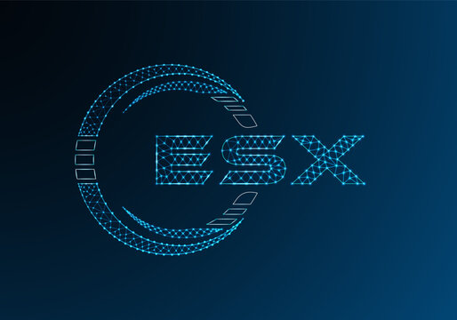 ESX low poly letter logo vector design. ESX lower poly logo design. Low poly logo.