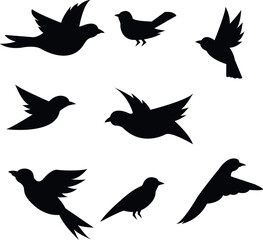 Blackbird Vector Set 