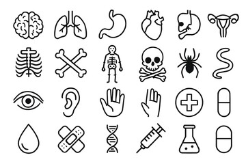 Collection of medical and anatomical line icons.  Perfect for healthcare websites or apps.