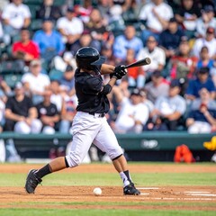 baseball player hitting the ball on a home run field.