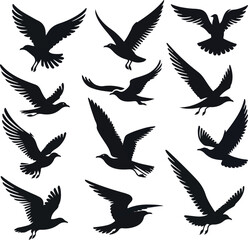 Set of seagull silhouette vectors