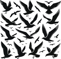 Set of seagull silhouette vectors