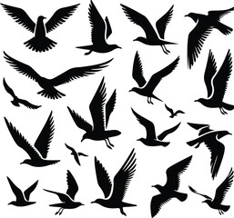 Set of seagull silhouette vectors