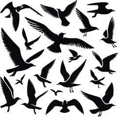 Set of seagull silhouette vectors