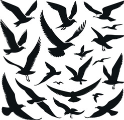 Set of seagull silhouette vectors