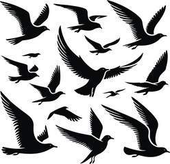 Set of seagull silhouette vectors